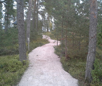 Metsään tehty selkeä polku helpottaa liikkumista.